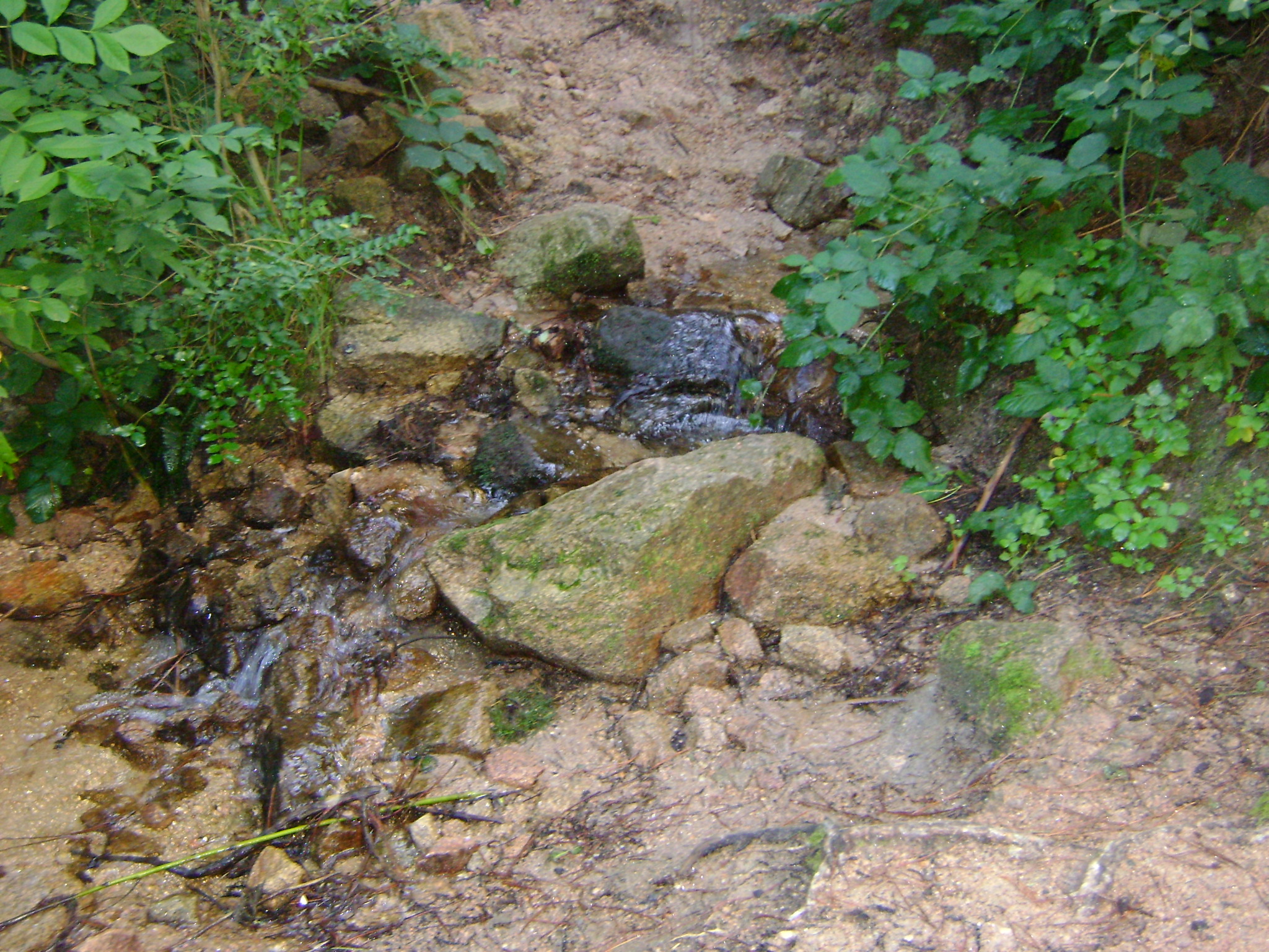 fotos/2011 - Los Reartes/DSC03369.JPG